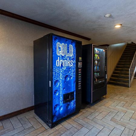 Irving Inn & Suites At Dfw Airport Kültér fotó