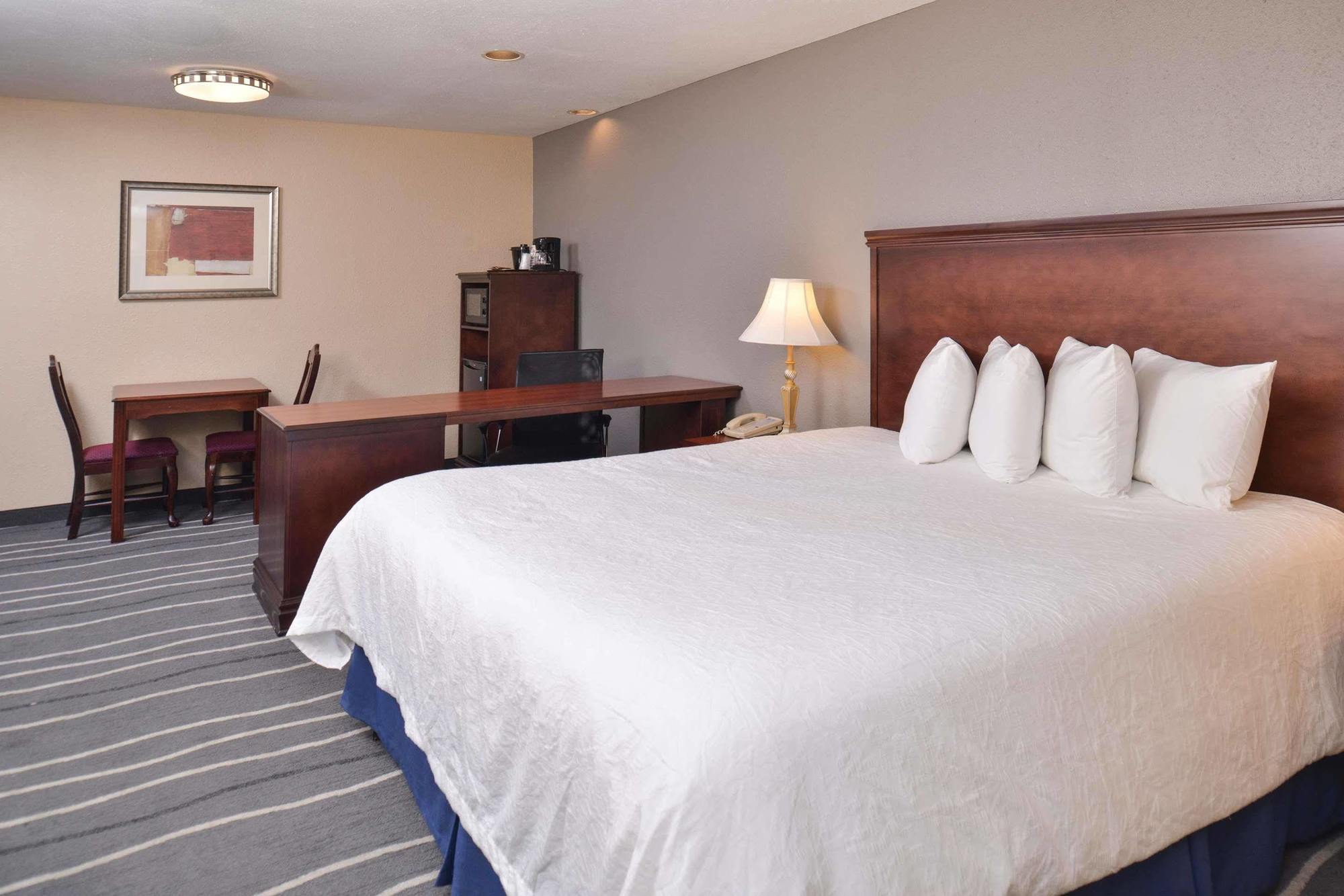 Irving Inn & Suites At Dfw Airport Kültér fotó